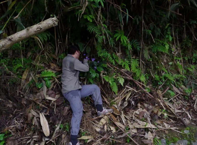 Field Investigation by Month April 2013