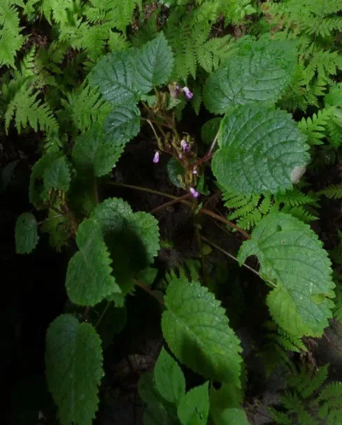 Field Investigation by Month April 2013