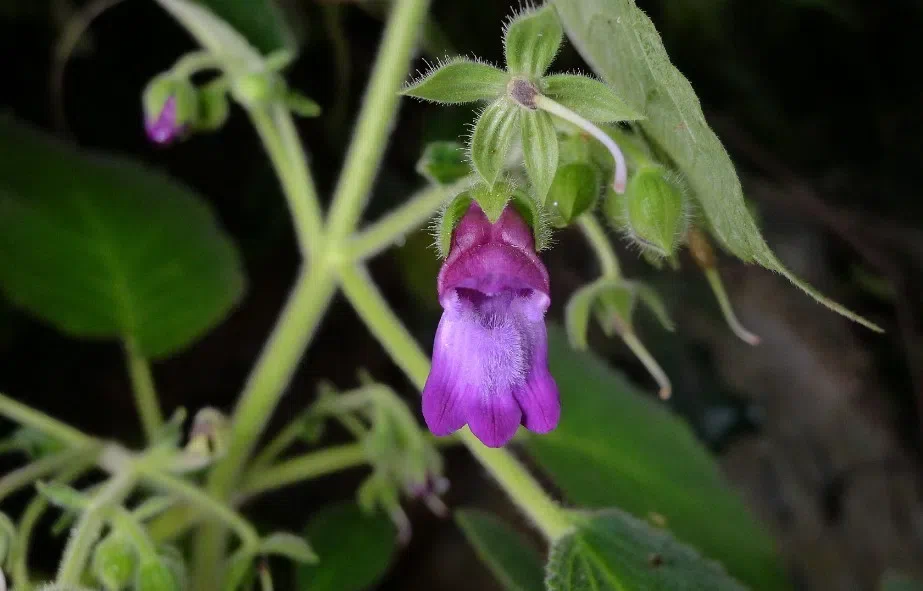 Field Investigation by Month April 2013