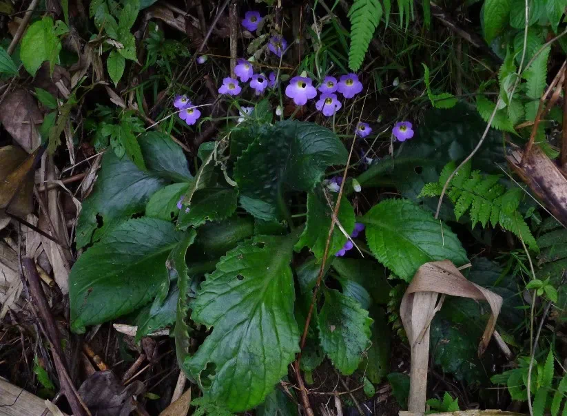 Field Investigation by Month April 2013