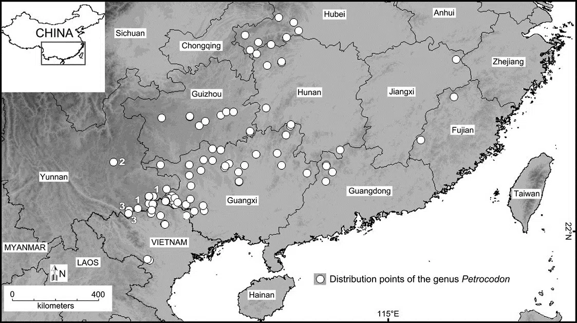 The newest published taxa of Gesneriaceae of China and/or nearby areas before 31 May, 2014