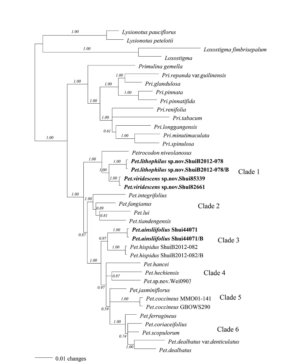 The newest published taxa of Gesneriaceae of China and/or nearby areas before 31 May, 2014
