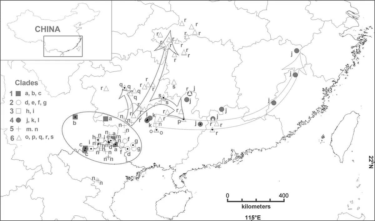 The newest published taxa of Gesneriaceae of China and/or nearby areas before 31 May, 2014
