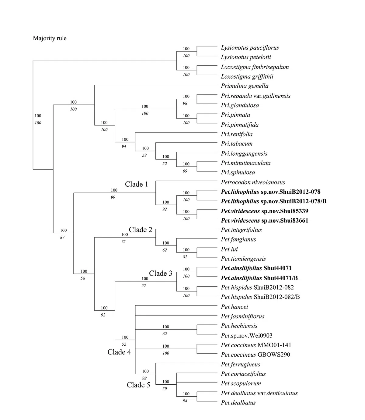 The newest published taxa of Gesneriaceae of China and/or nearby areas before 31 May, 2014