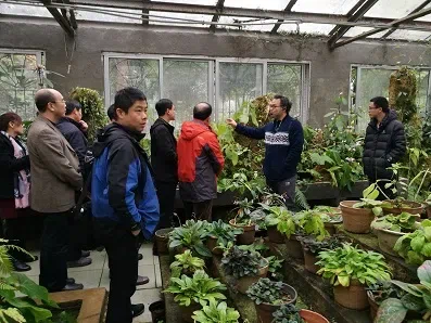 广西植物学会成员参观中国苦苣苔科植物保育中心(Gesneriad Conservation Center of China,GCCC)