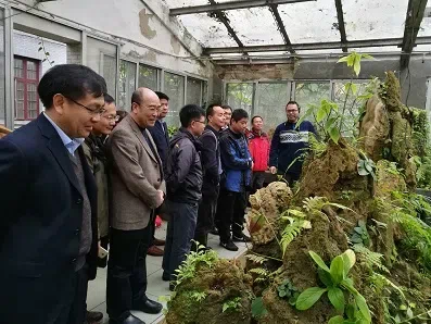 广西植物学会成员参观中国苦苣苔科植物保育中心(Gesneriad Conservation Center of China,GCCC)