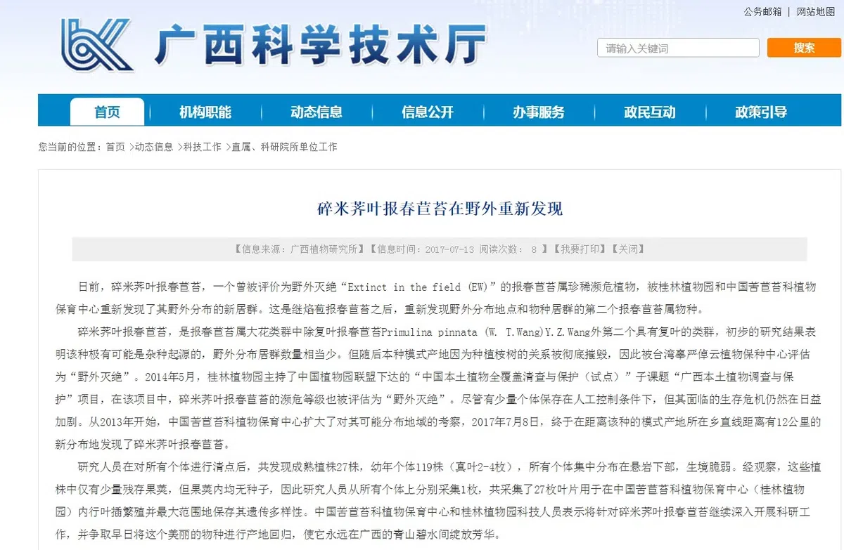 碎米荠叶报春苣苔重新发现引起轰动!