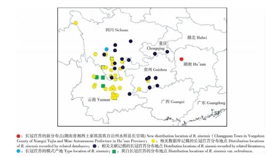 2015年度发表的苦苣苔科植物新种或新分类群(1)