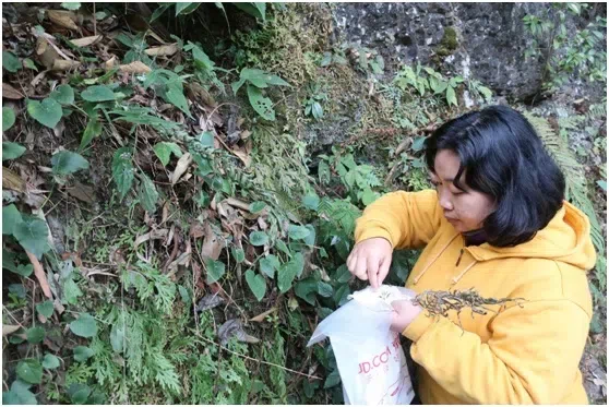 GCCC联合野外工作(I)——与GCCC(贵州)的第一次野外合作考察