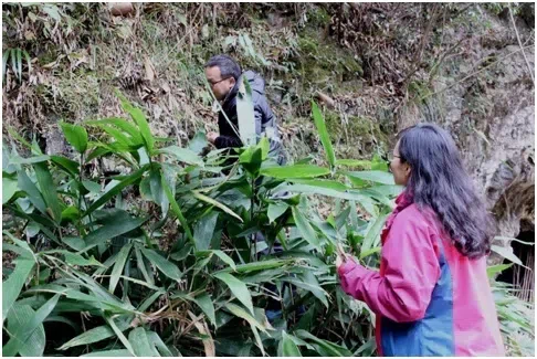 GCCC联合野外工作(I)——与GCCC(贵州)的第一次野外合作考察