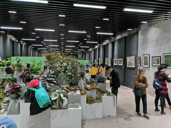 温放博士/研究员应邀参加“神秘的爱 永恒花园”2019上海植物园第六届苦苣苔科植物(非洲紫罗兰)展并做报告