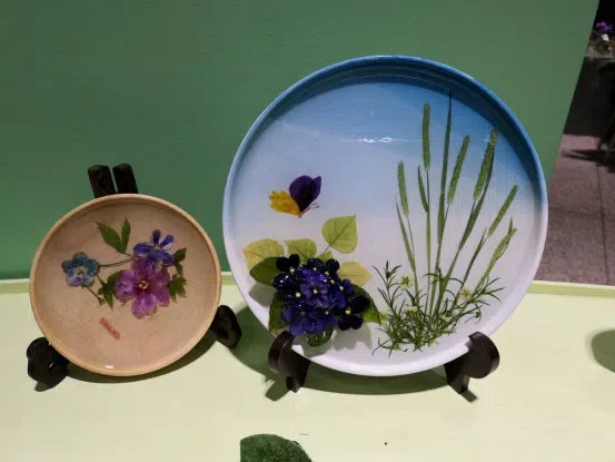 温放博士/研究员应邀参加“神秘的爱 永恒花园”2019上海植物园第六届苦苣苔科植物(非洲紫罗兰)展并做报告