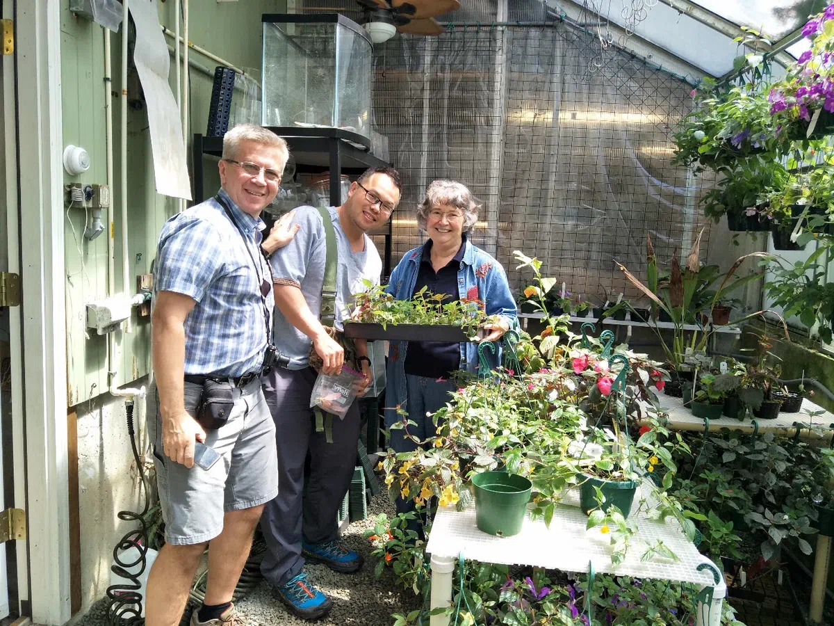 中国苦苣苔科植物保育中心成员赴美国参加世界苦苣苔协会第62届会年及学术交流活动(Ⅱ)