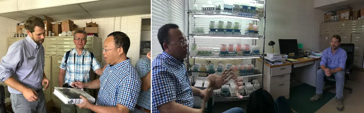 中国苦苣苔科植物保育中心成员赴美国参加世界苦苣苔协会第62届会年及学术交流活动(Ⅱ)