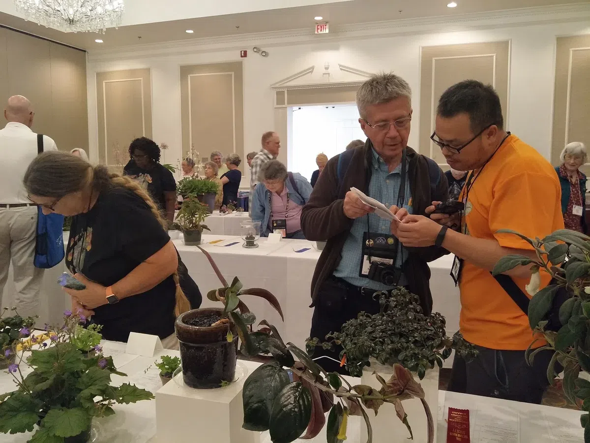 Members of Gesneriad Conservation Center of China (GCCC) Attended The 62nd Annual Congress of The Gesneriad Society And Related Academic Activities in The USA (Ⅰ)