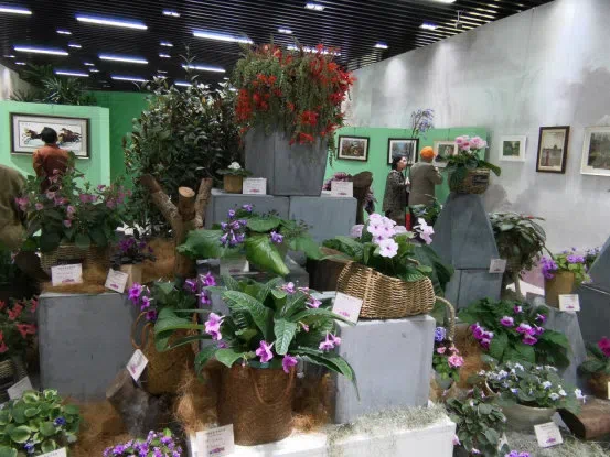 温放博士/研究员应邀参加“神秘的爱 永恒花园”2019上海植物园第六届苦苣苔科植物(非洲紫罗兰)展并做报告