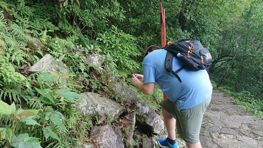 美国格伦威尔州立大学Jeremy Keene博士到访广西植物研究所和GCCC开展学术交流(I)