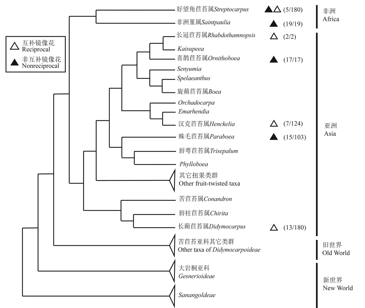 New Research Results from China in 2019 (1)