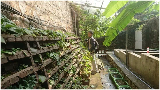 Dr. Nguyen SinhKhang and Dr. Do Van Hai from Department visited Guangxi Institute and GCCC, and carried out academic communications