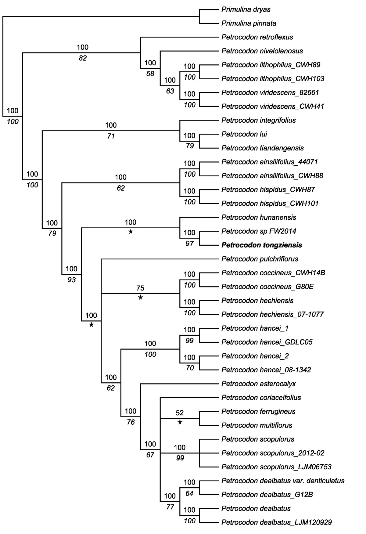 2019年度发表的苦苣苔科植物新种、新分类群和分布新记录(4)