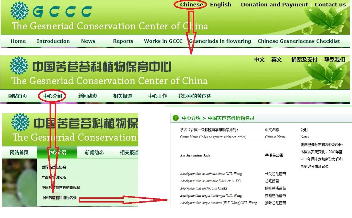 中国苦苣苔科植物名录上线了!