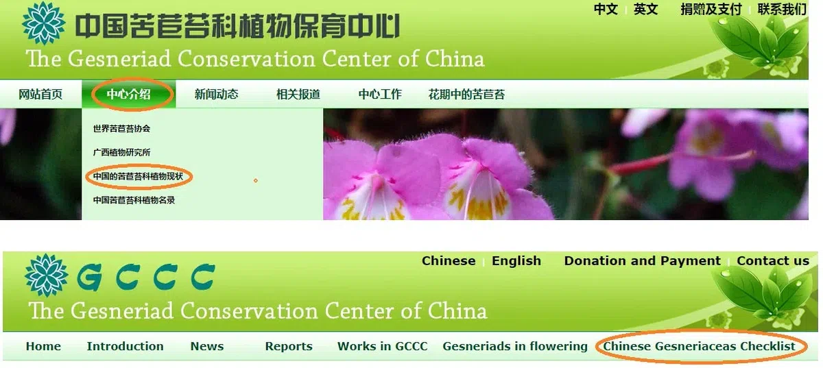 The Checklist of China’s Gesneriaceae Plants is now launched!