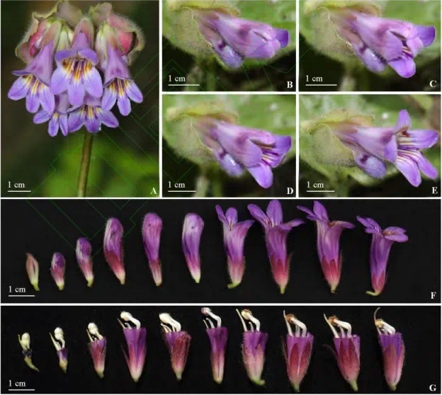 New Research Results from China in 2020(1)