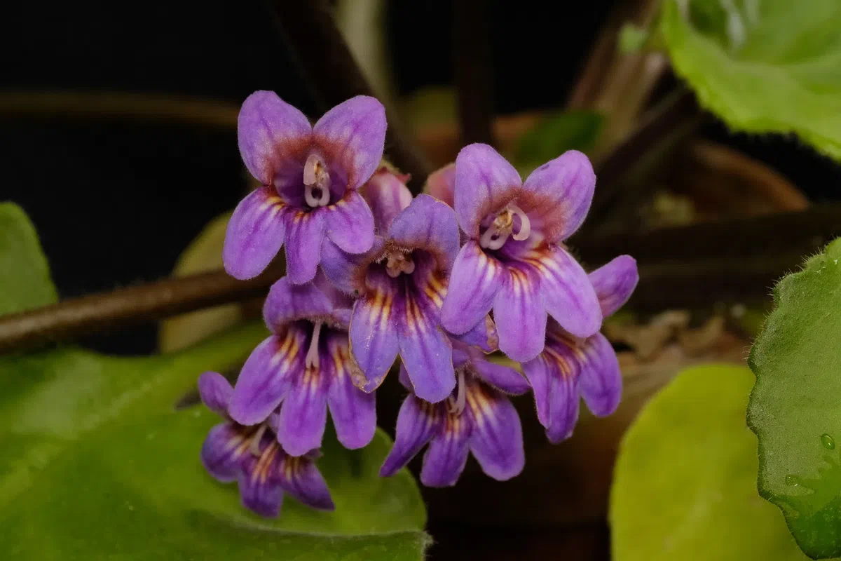 New Research Results from China in 2020(1)