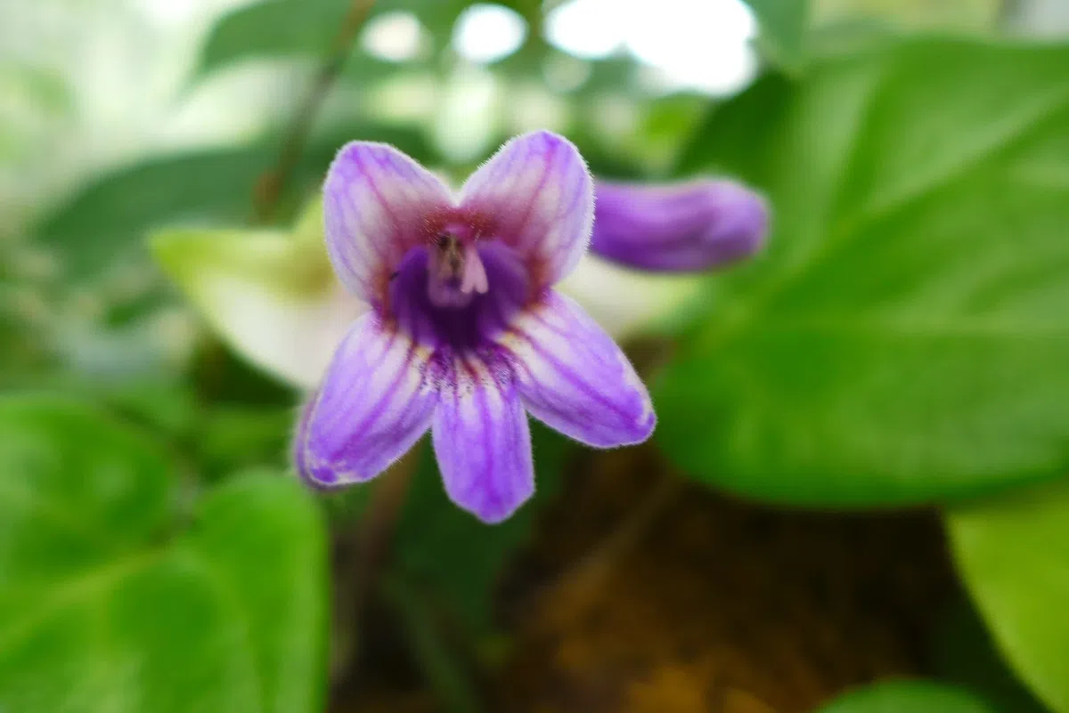 New Research Results from China in 2020(1)