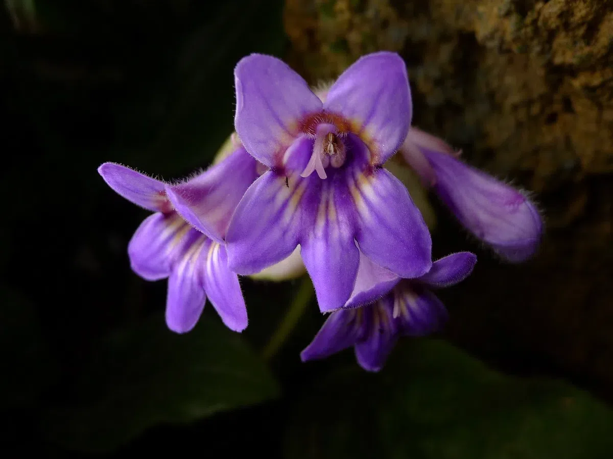 New Research Results from China in 2020(1)