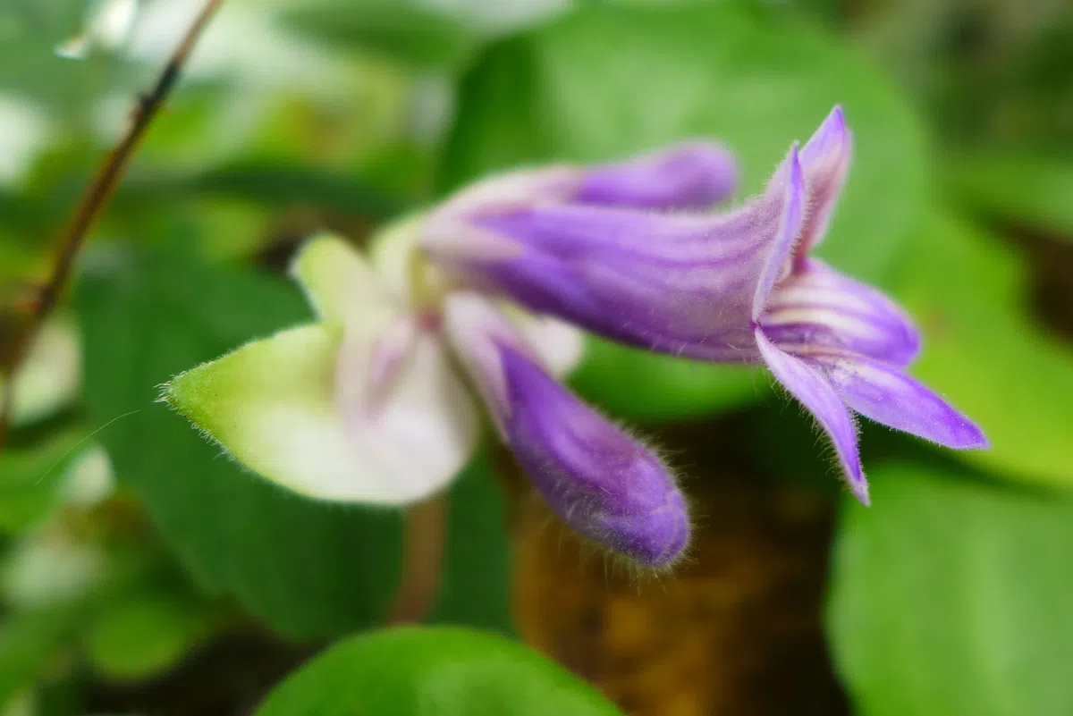 New Research Results from China in 2020(1)