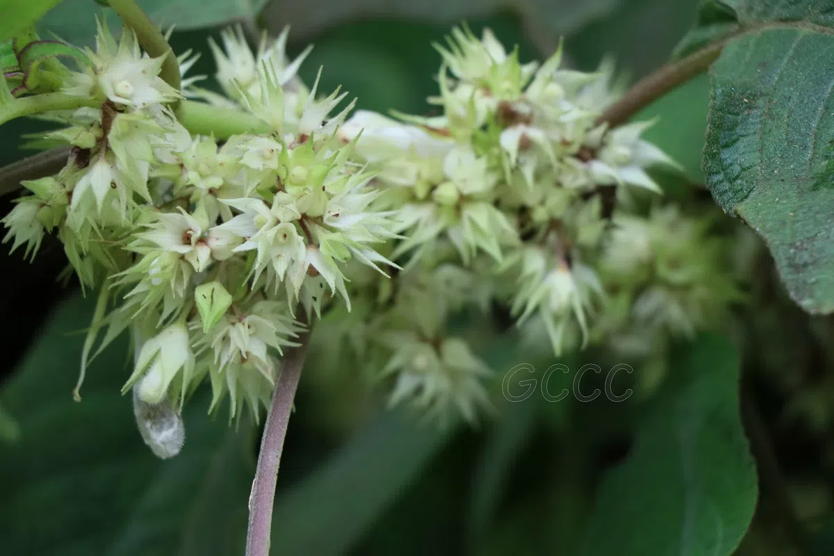 New Research Results from China in 2020(2)