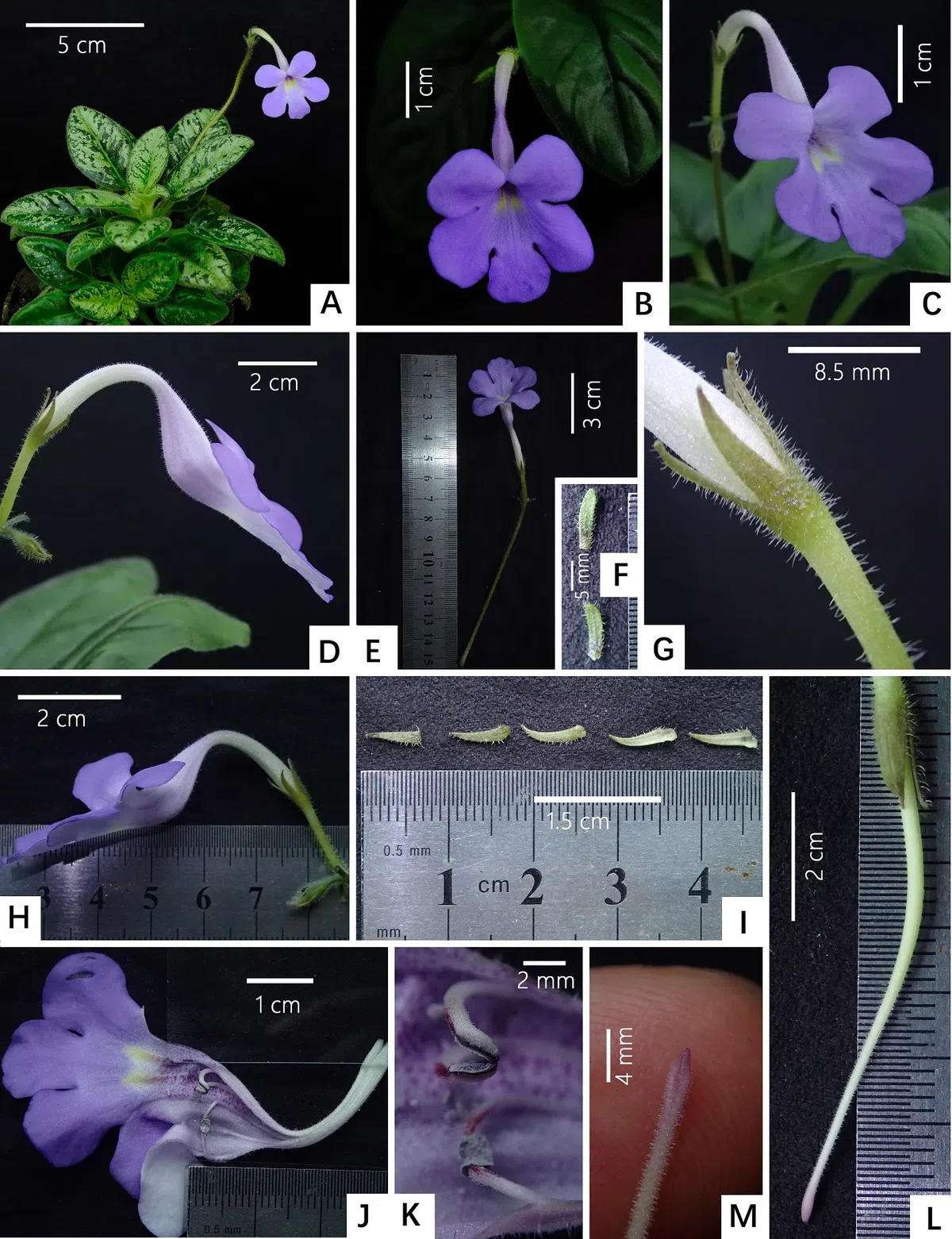 New Research Results from China in 2020 No. 4