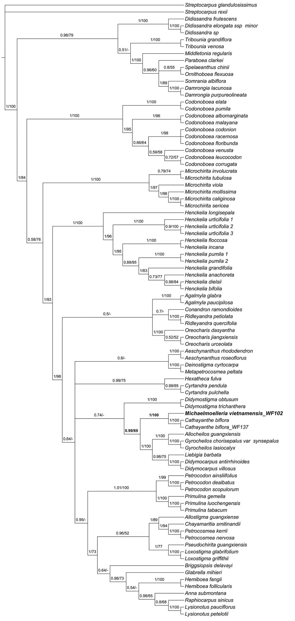 New Research Results from China in 2020 No. 4