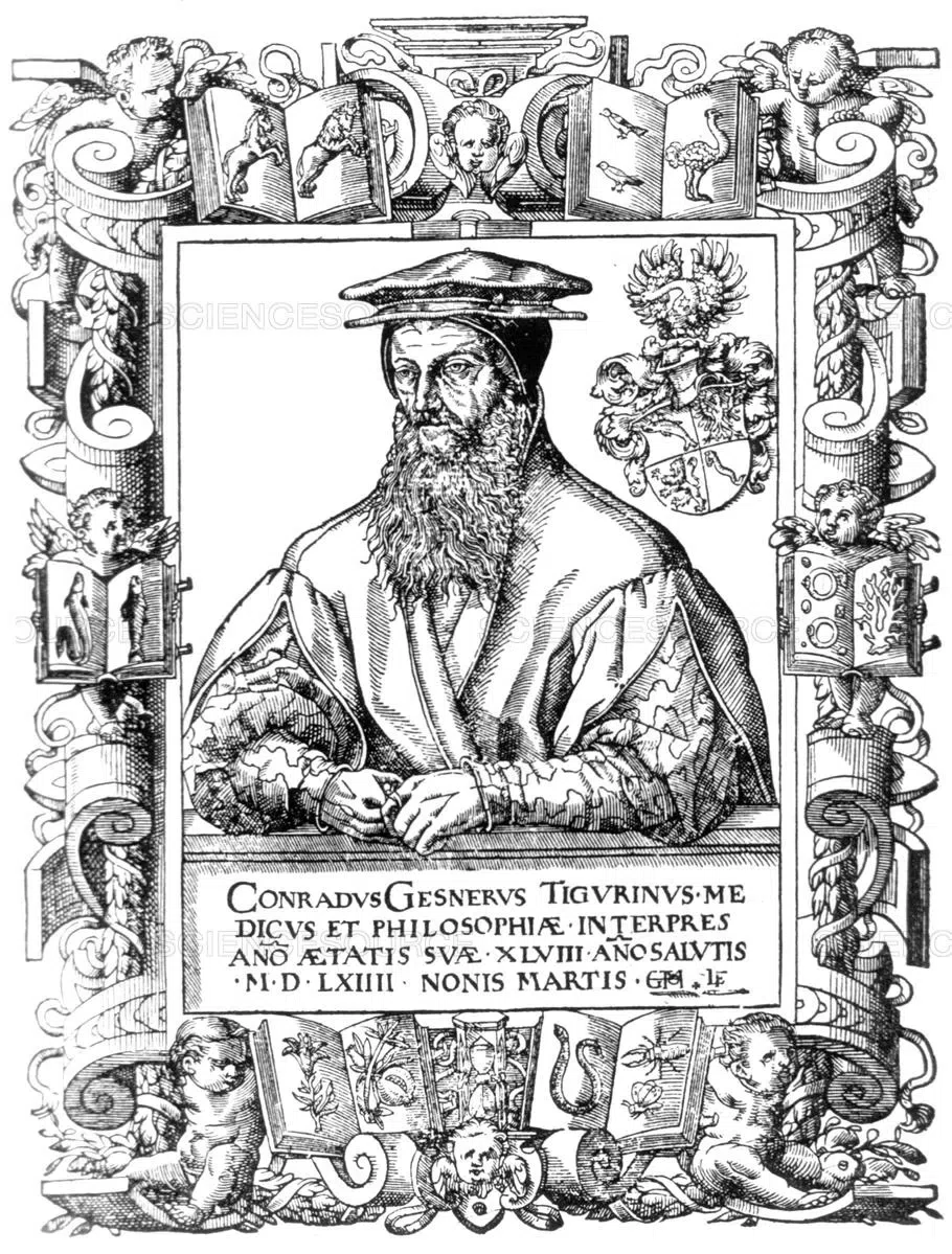 专家带你认类群——苦苣苔科植物的大世界(上)