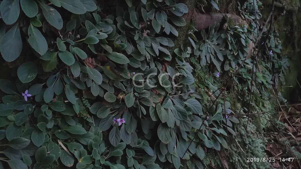 New Research Results from China in 2021(4)