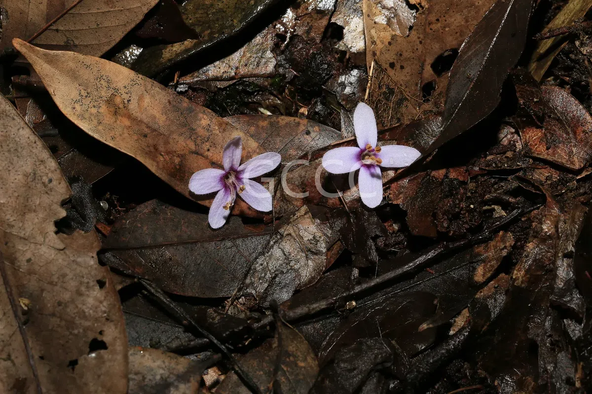 New Research Results from China in 2021(4)