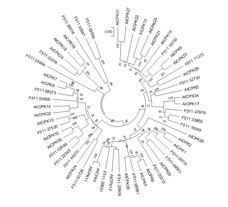 New Research Results from China in 2021(5)