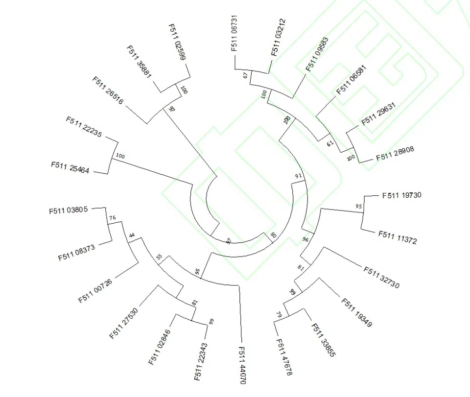 New Research Results from China in 2021(5)