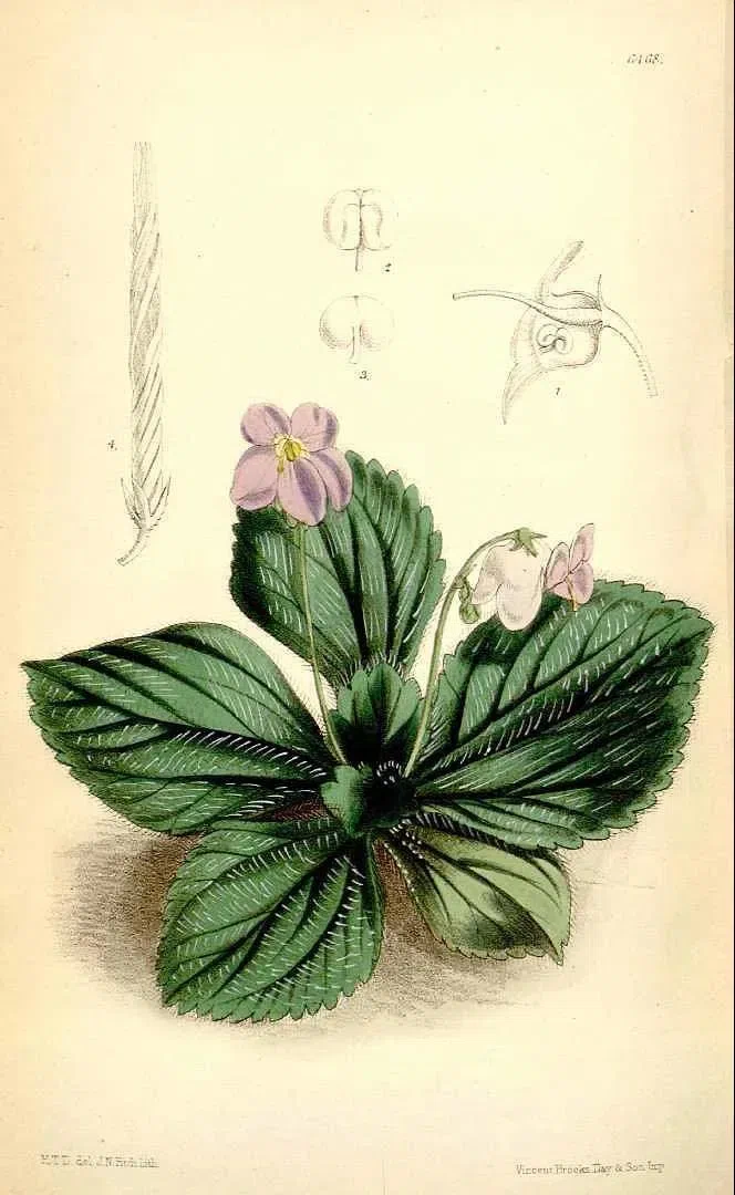 New Research Results from China in 2021(5)