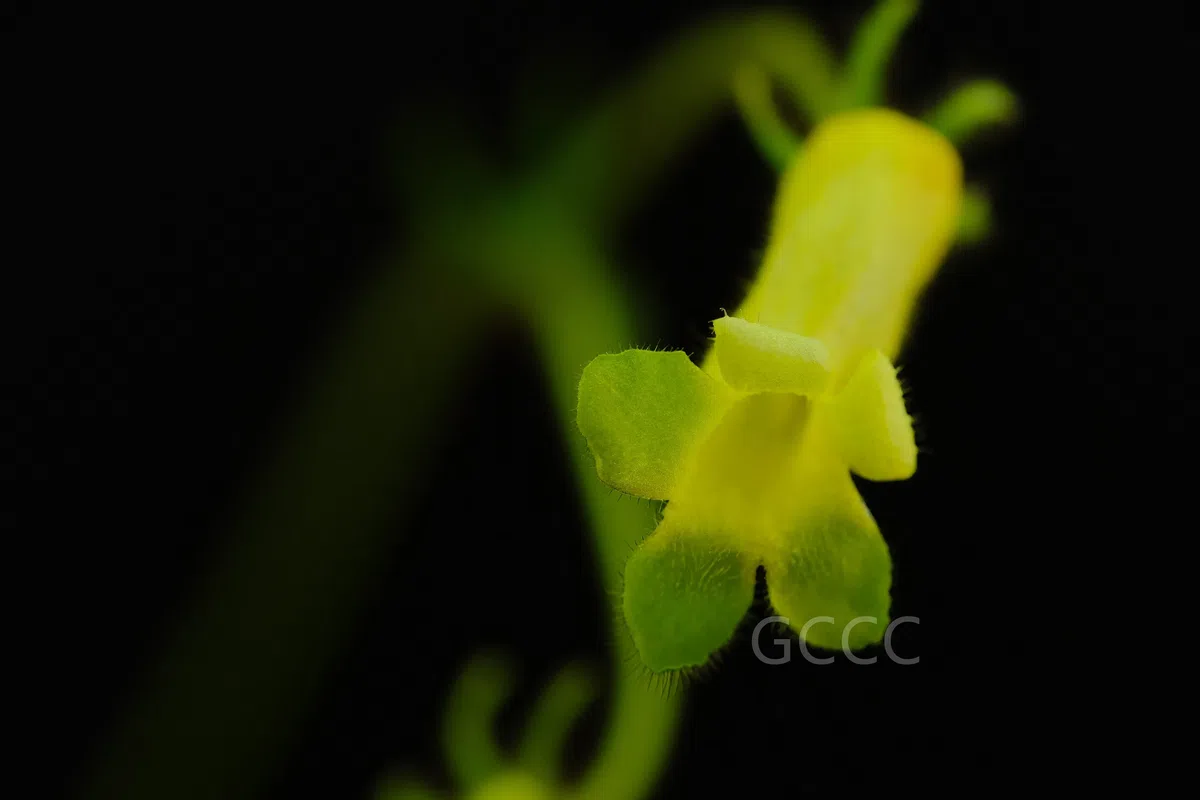 New Research Results from China in 2021(6)