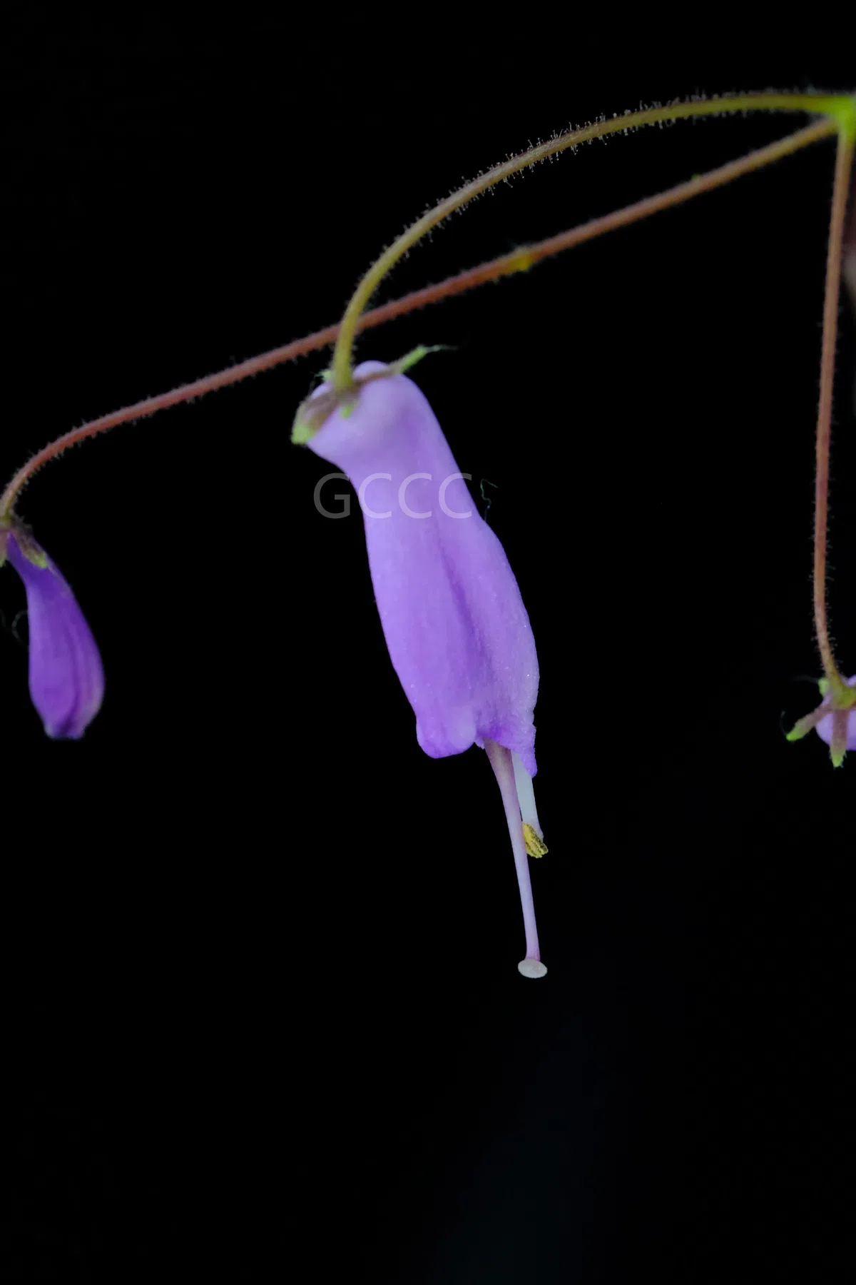 New Research Results from China in 2021(6)